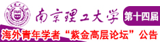 想看大鸡巴操的视频南京理工大学第十四届海外青年学者紫金论坛诚邀海内外英才！